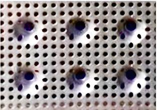 Pharma Perforated Sheets